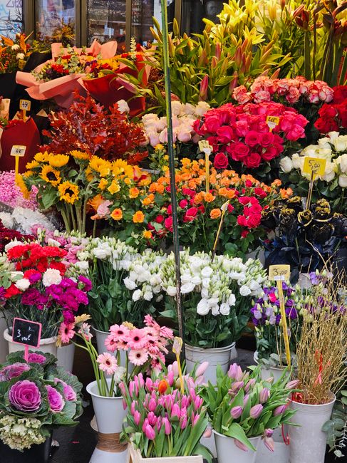 A vibrant display of fresh flowers arranged for a floral gift or flower delivery at floristhighgate.co.uk. The assortment includes bright pink roses, white tulips, purple and pink daisy-like flowers,