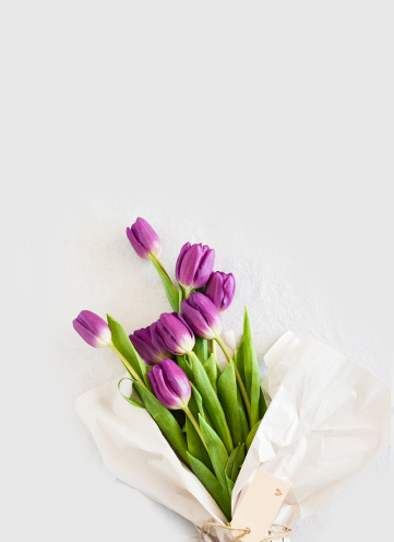 Same day Flowers Highgate 